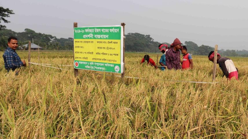 Farmers-participating.jpg