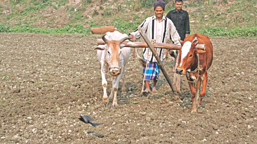 Bangladesh Bank's low interest loan for Agriculture