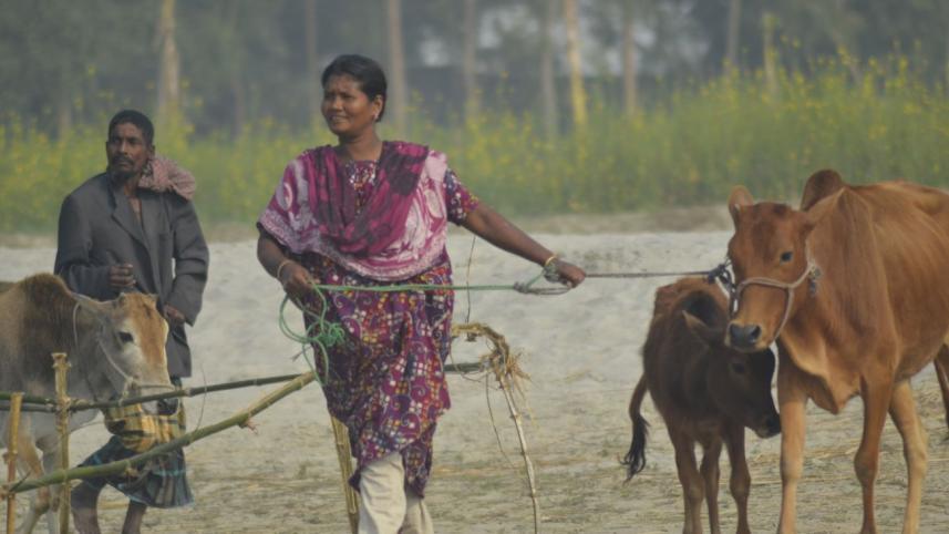 Female cattle farmers.jpg
