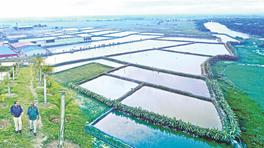 Fish farming revolution in Barind.jpg