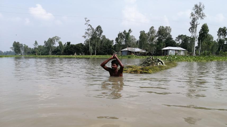 Flood-2.jpg
