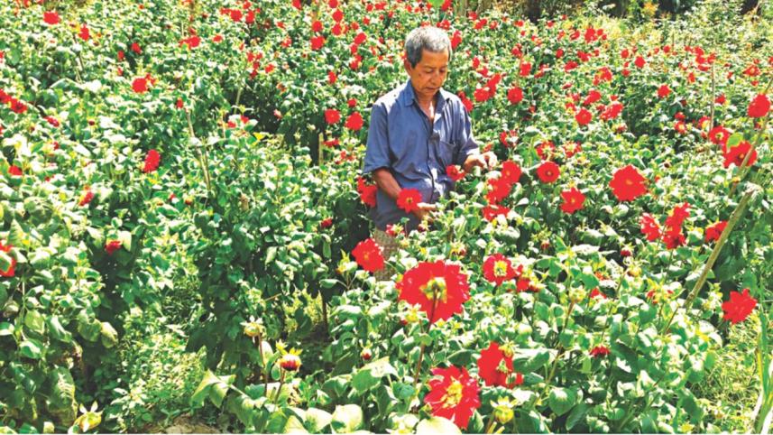 Flowers brighten.jpg