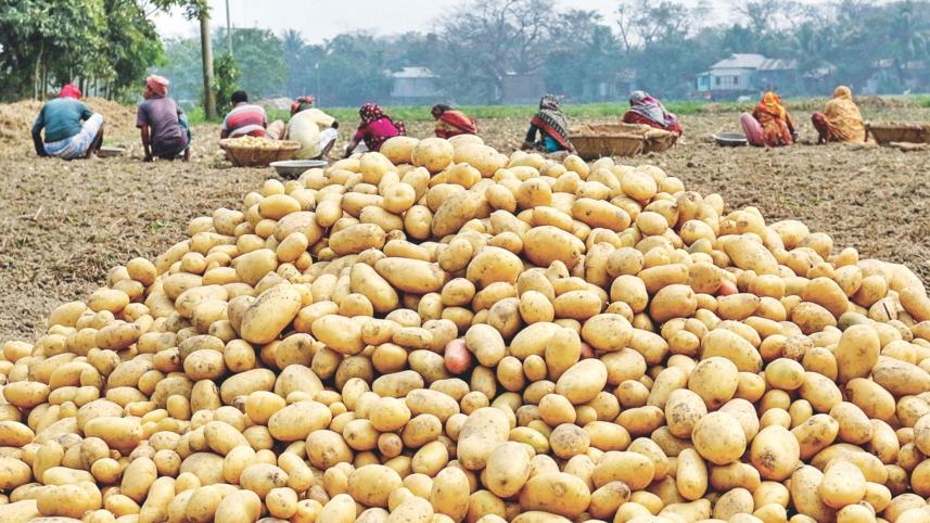food-security-post-pandemic-Bangladesh.jpg