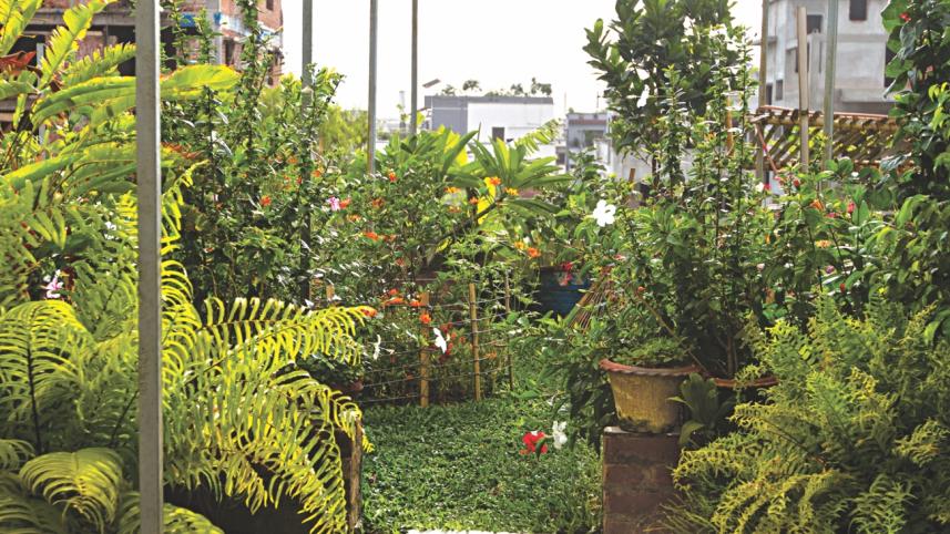 Bangladesh National environment fair 2018