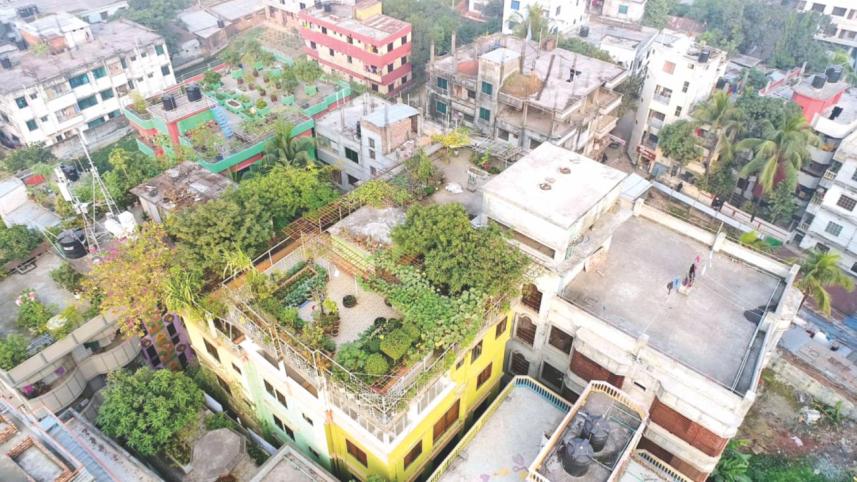 Green city, rooftop gardenning