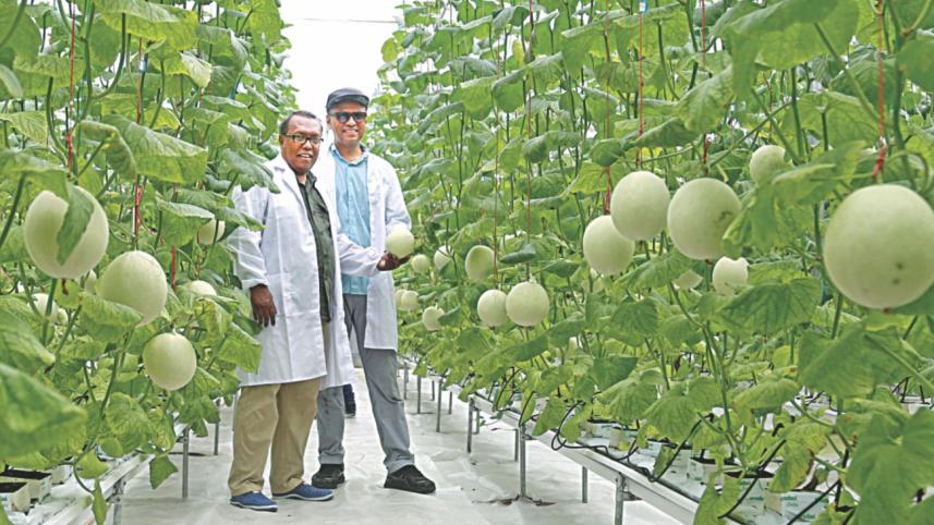 greenhouse gazipur.jpg