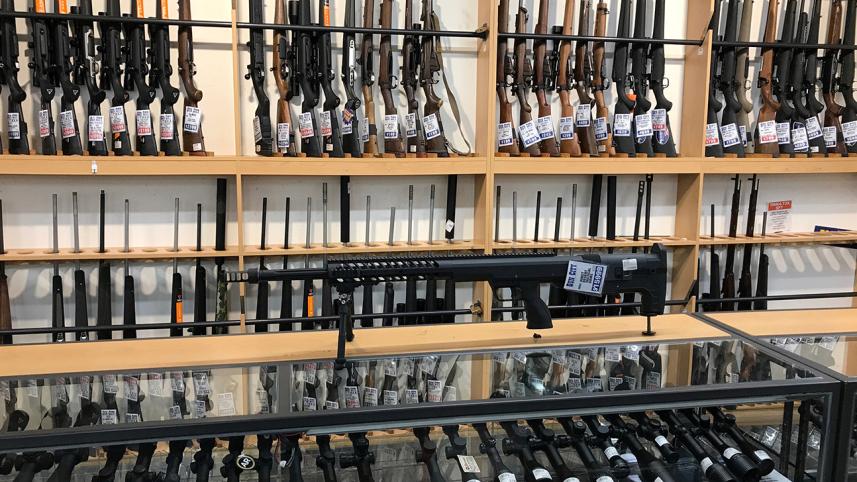 Gun laws.JPG