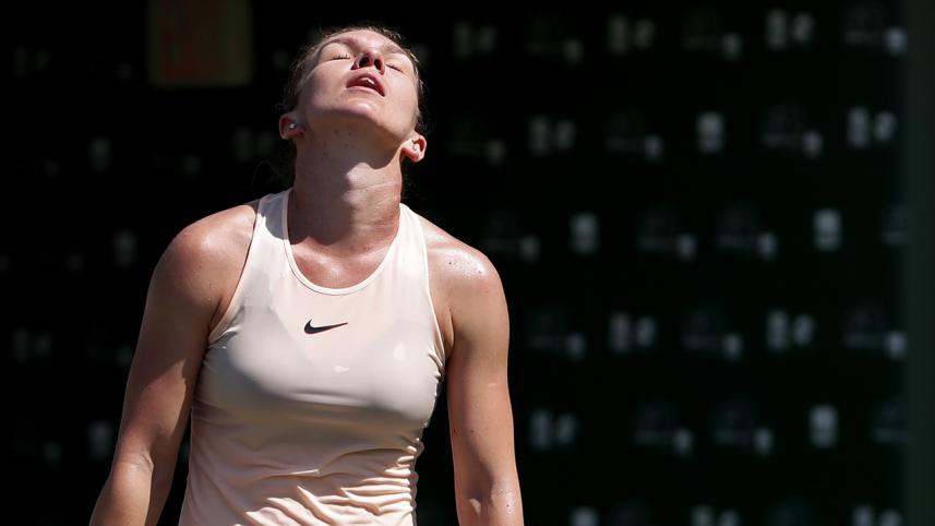 Halep.JPG