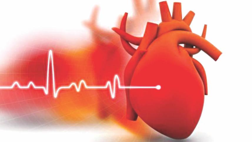 heart.jpg