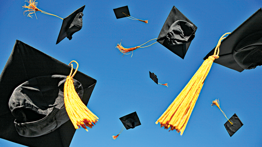 higher education.png