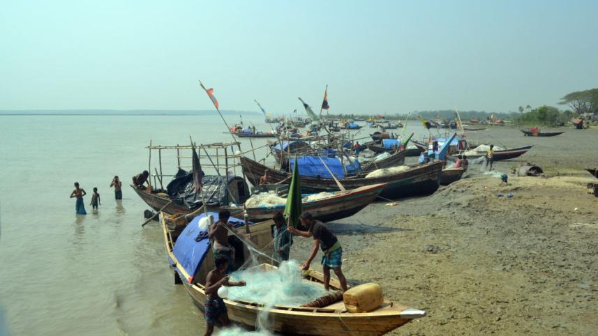 Hilsa netting on.jpg