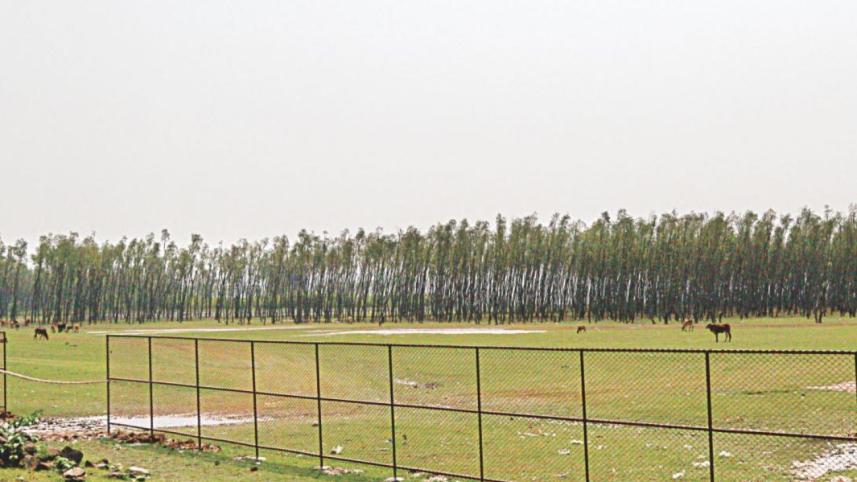 horrible example land leased.jpg