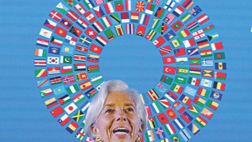 IMF.jpg