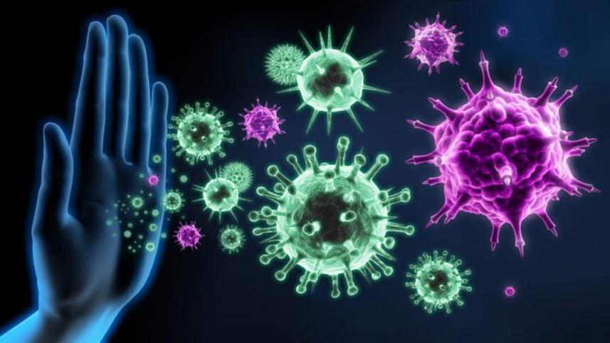 immune-system-coovid19.jpg