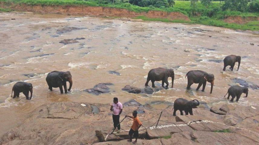 In the land of the lion with the sword