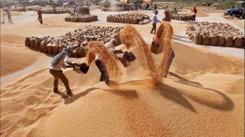 India.jpg
