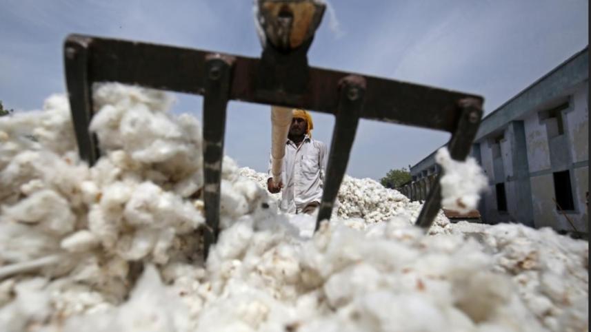 India’s cotton output.jpg
