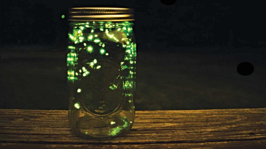 Jars
