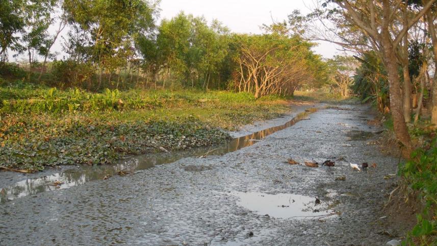 Jhalakathi Dhanshiri