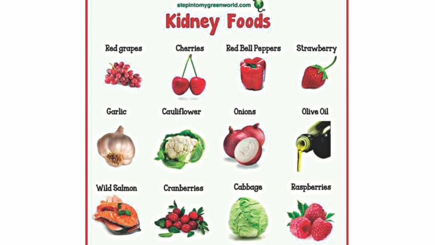 kidney food