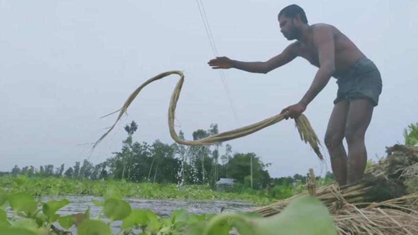 Kurigram_jute-final.jpg
