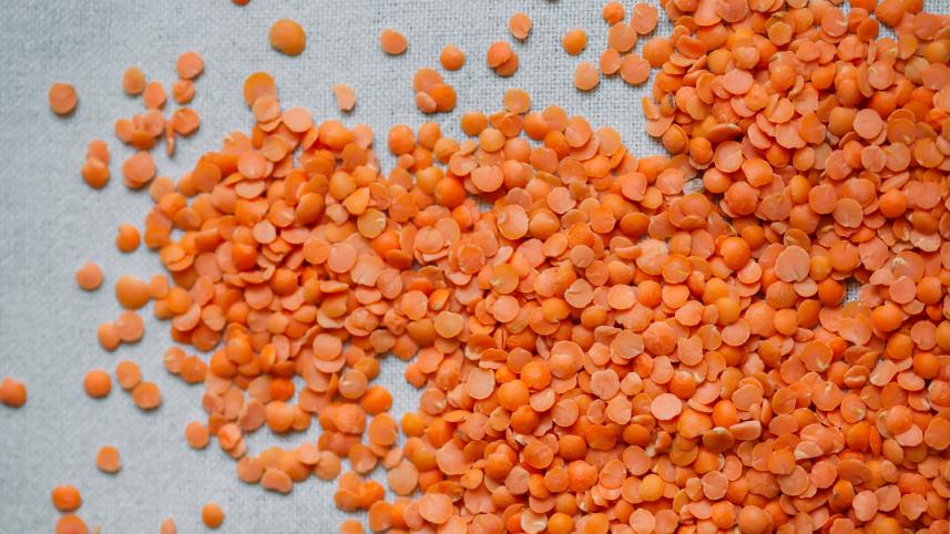 lentil.jpg