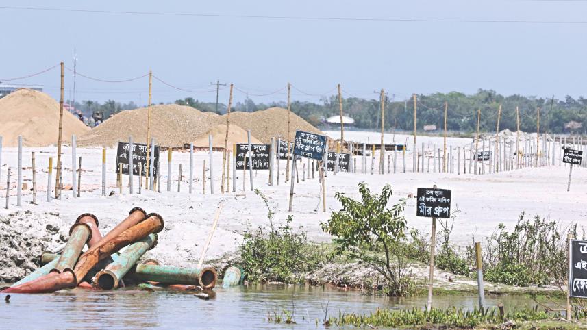 mangroves survive 1.jpg