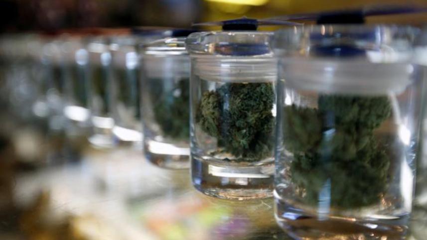 Marijuana-1-web.jpg