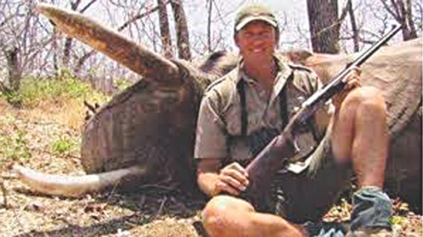 mcgrath shooting safari.jpg
