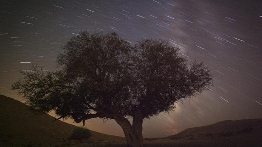 meteor-shower-1-web.jpg