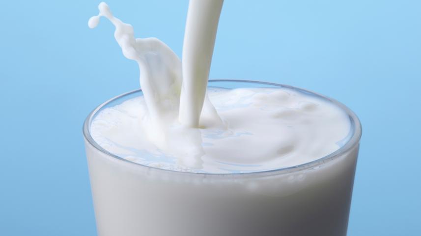 milk toxic.jpg
