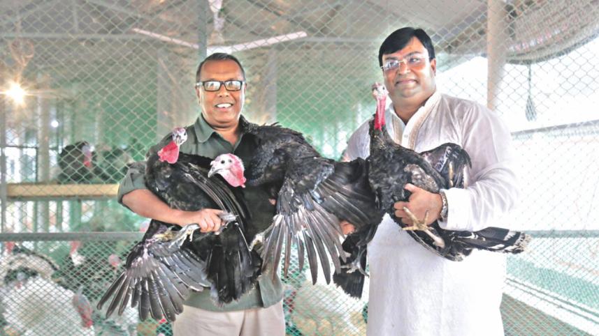 millionaire turkey farmer.jpg