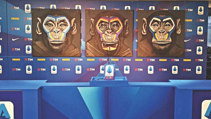 monkey.jpg