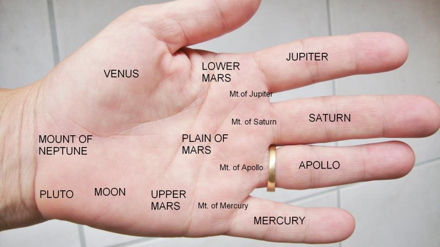 palmistry