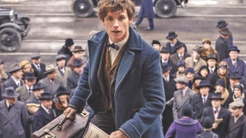 Newt Scamander.jpg