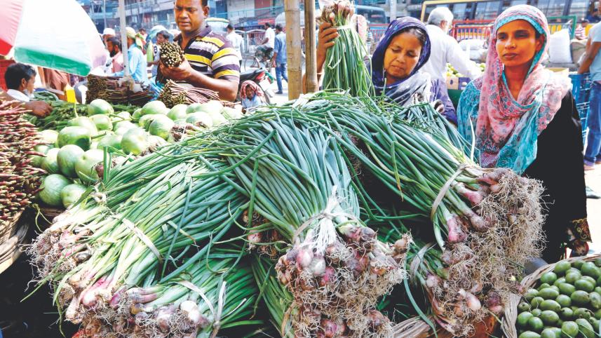 onion plants.jpg