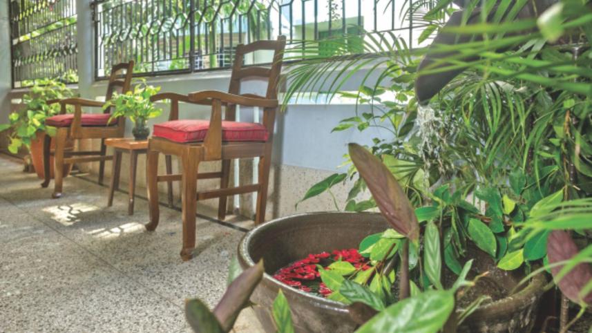 Painting the terrace walls