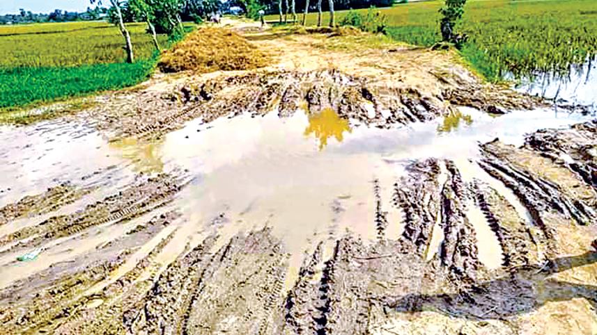 Palpara.jpg