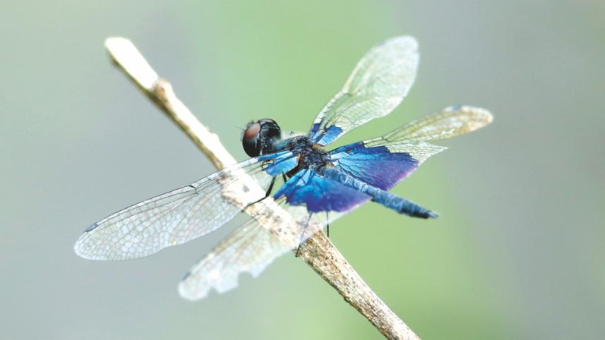 photography exhibition.jpg