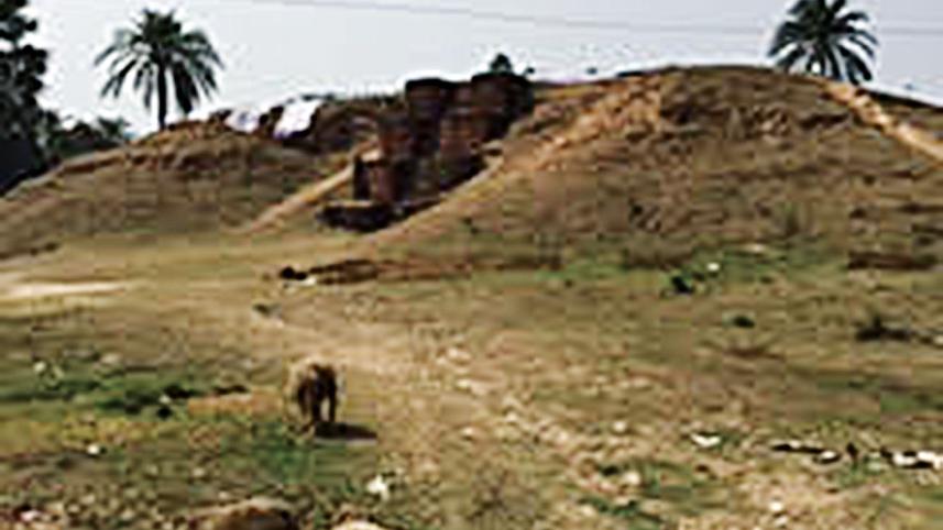 reclaimed hill at Dwipganj.jpg