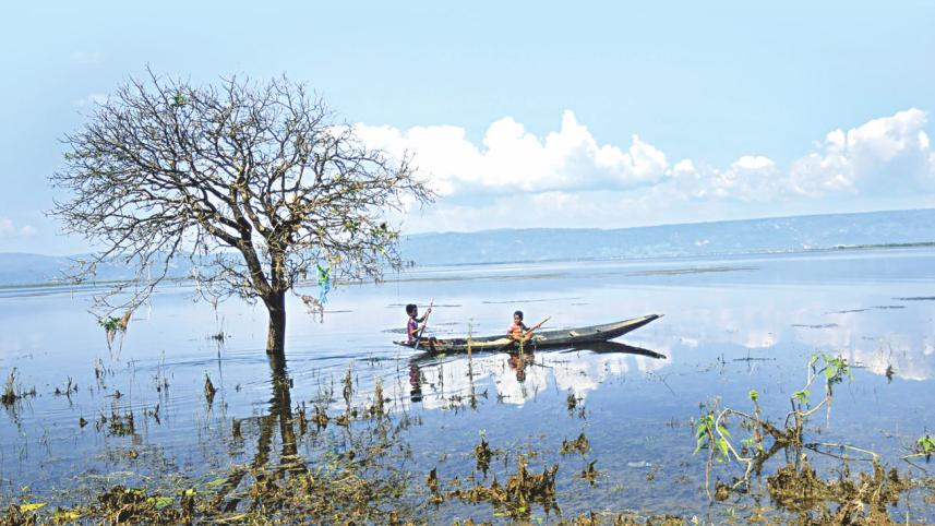 Reclusive Beauty0.jpg