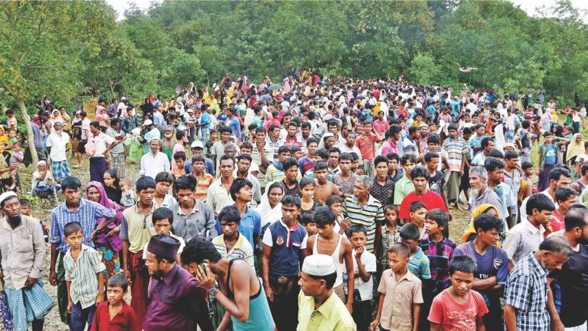 rohingya refugees.jpg