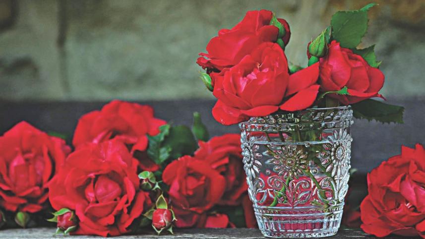 rose.jpg