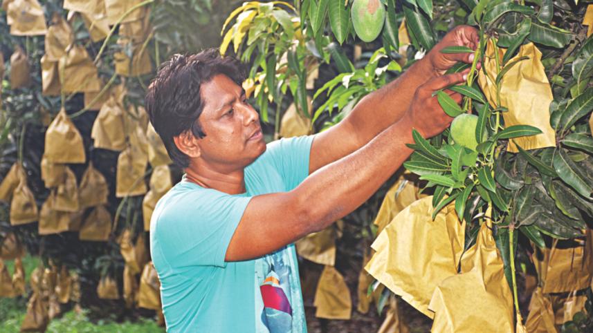 Saidur Rahman Shahin.jpg