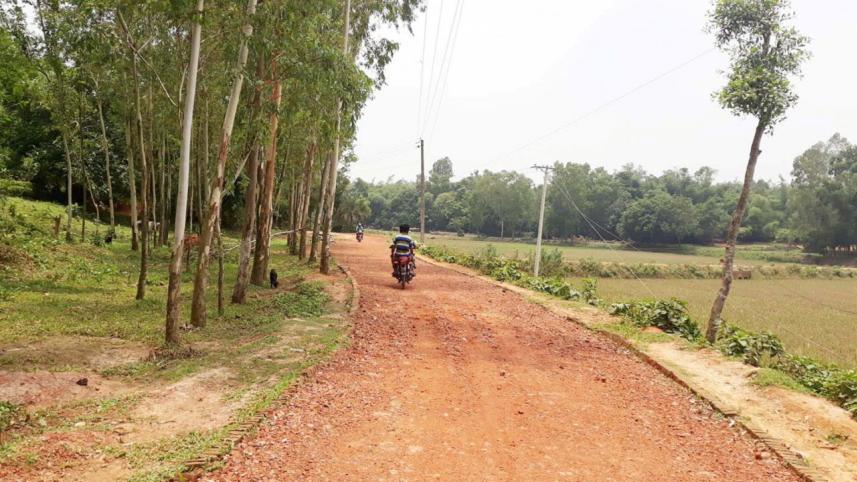 sakhipur_upazila.jpg