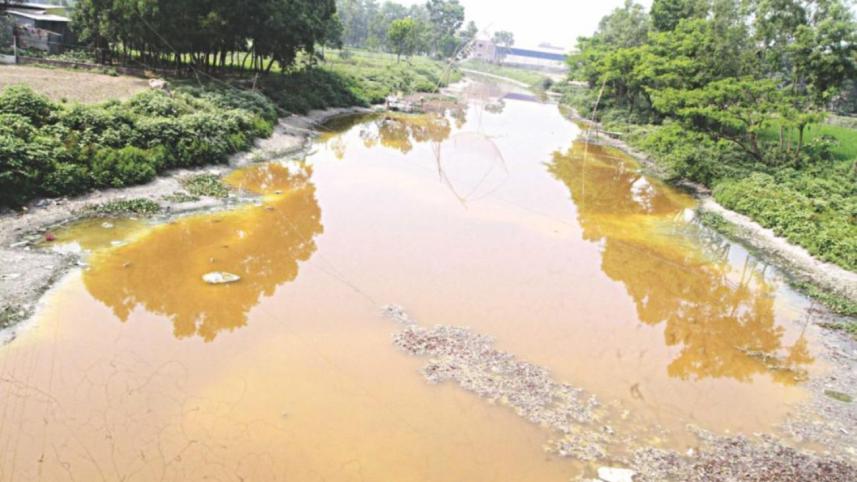 saving environment.jpg