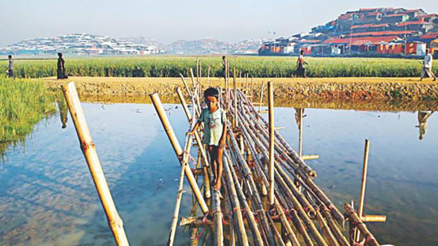 A Rohingya boy