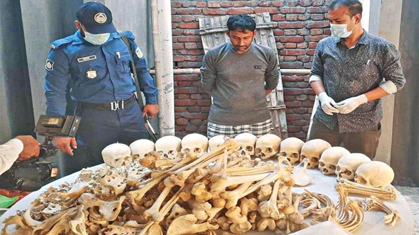 skeleton-smuggling.jpg