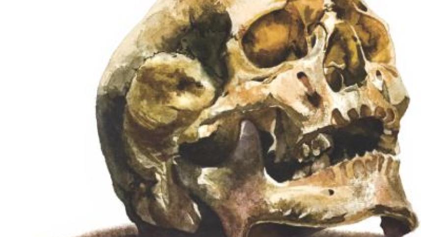 skull.jpg