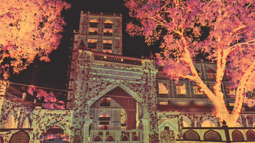 Some animals are more equal than others